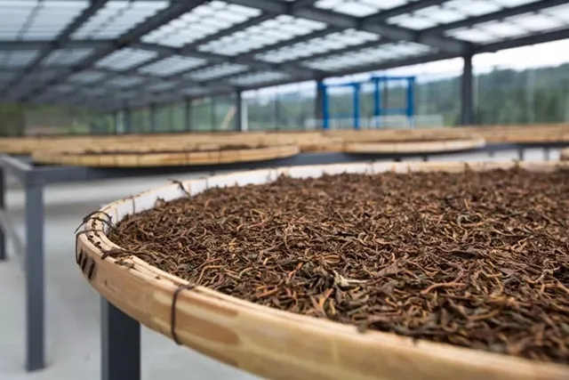 喝红茶对身体有什么坏处?(长期喝红茶对肝脏的危害)-红茶小知识